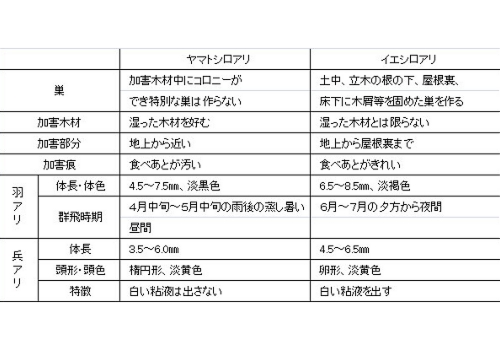 ヤマトとイエ.jpg